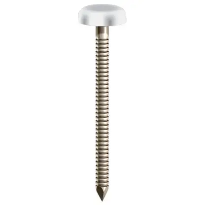 Cladding coloured head 30mm stainless steel nails 250