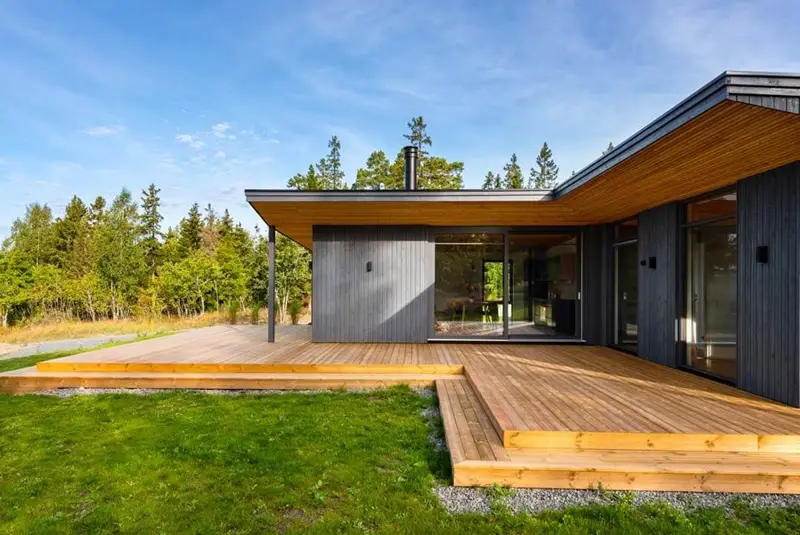 Which species of wood should you choose for your terrace decking and what are the different treatment options?